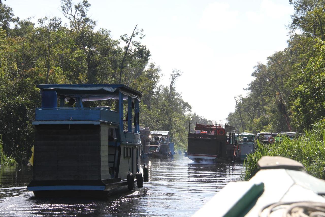 Orangutan Kelotok Houseboat For 6 Person Hotel Pangkalan Bun Exterior foto