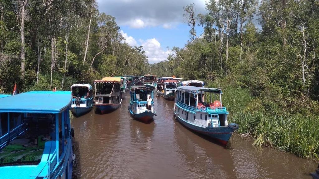 Orangutan Kelotok Houseboat For 6 Person Hotel Pangkalan Bun Exterior foto